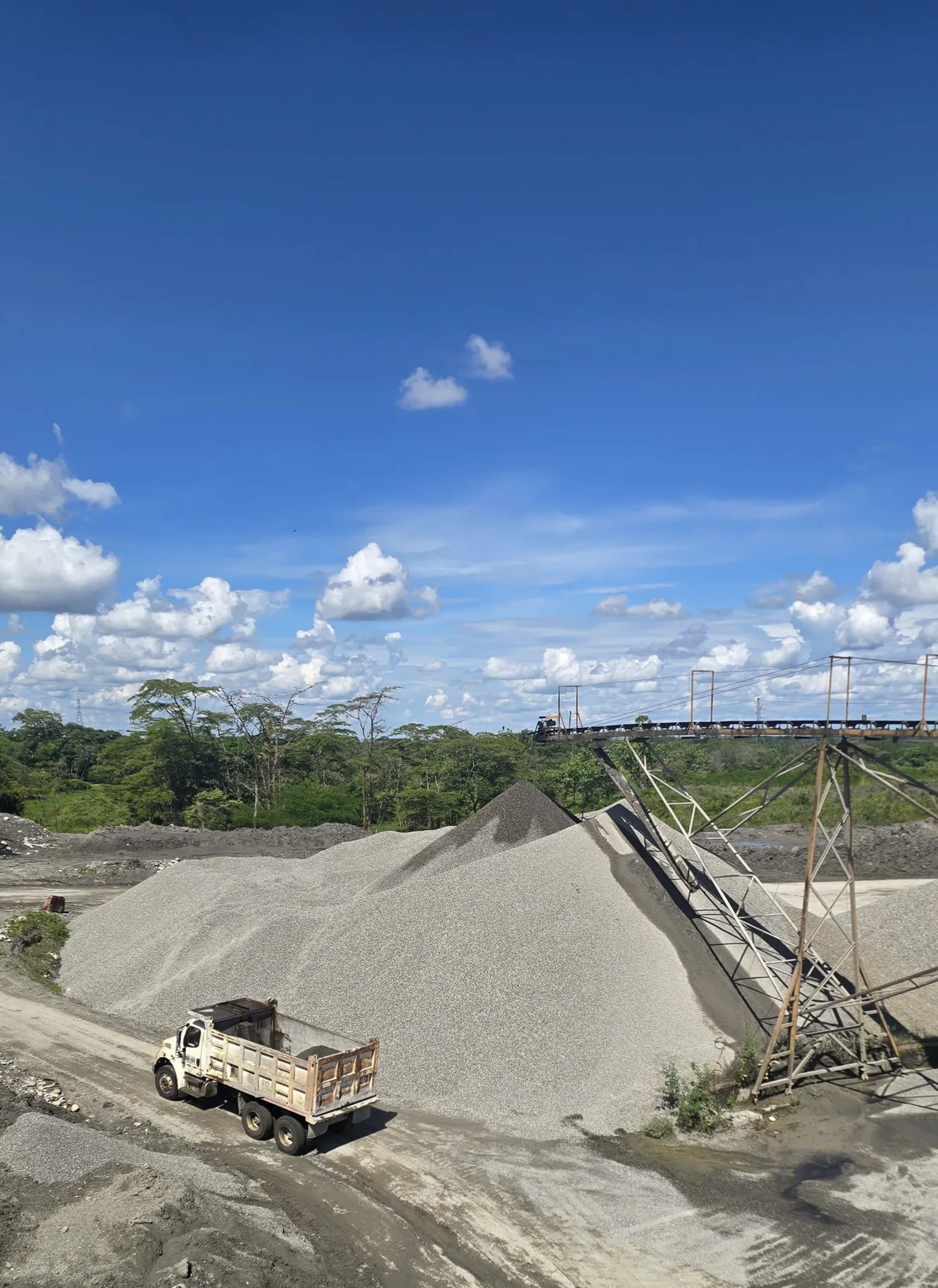 Planta Cuncía - vista 5