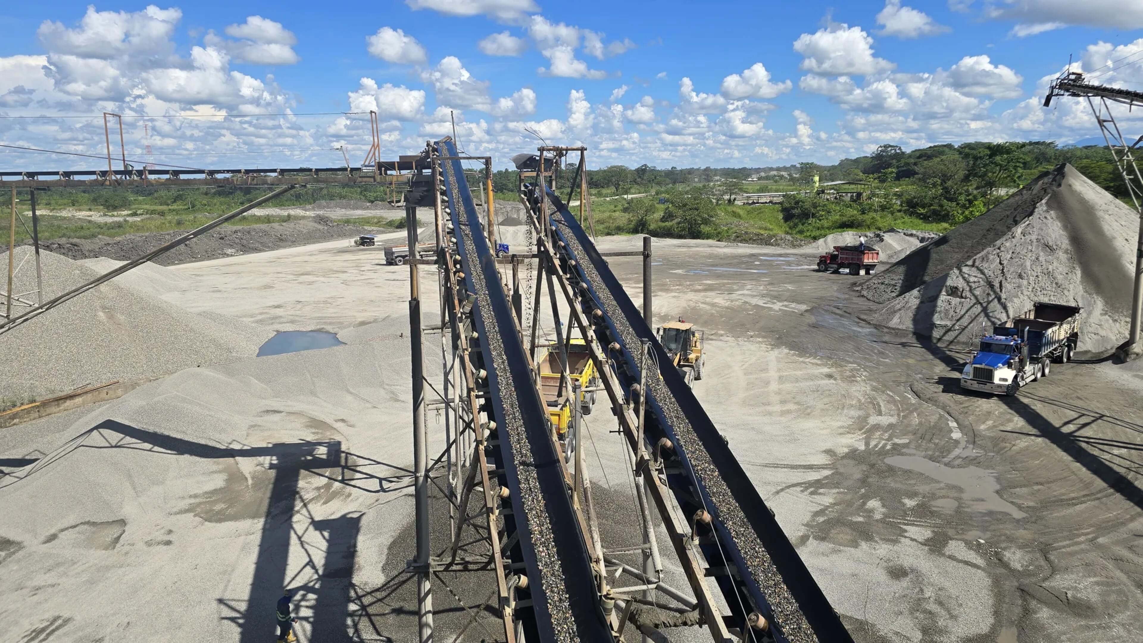 Planta Cuncía - vista 1