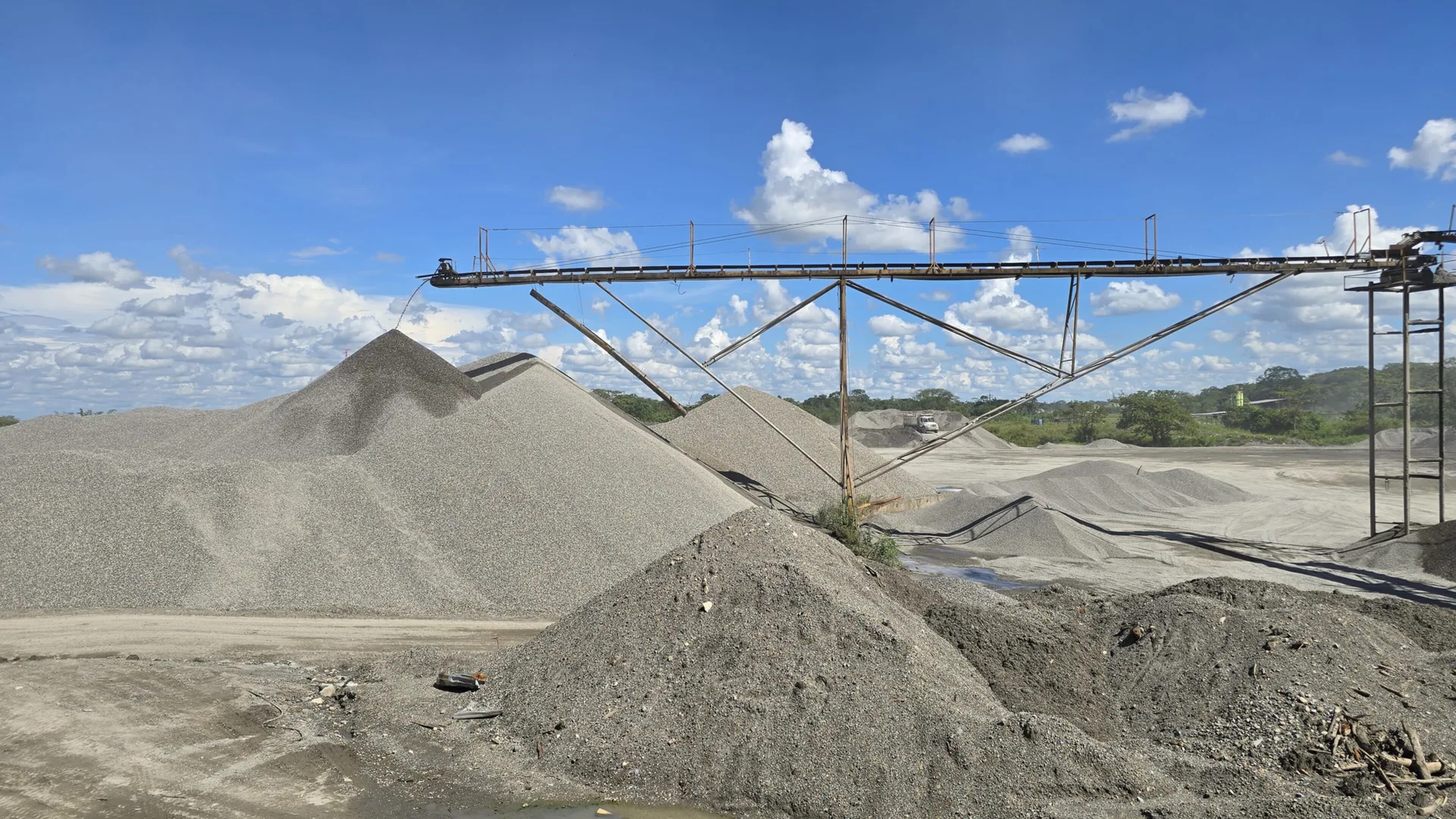Planta Cuncía - vista 3