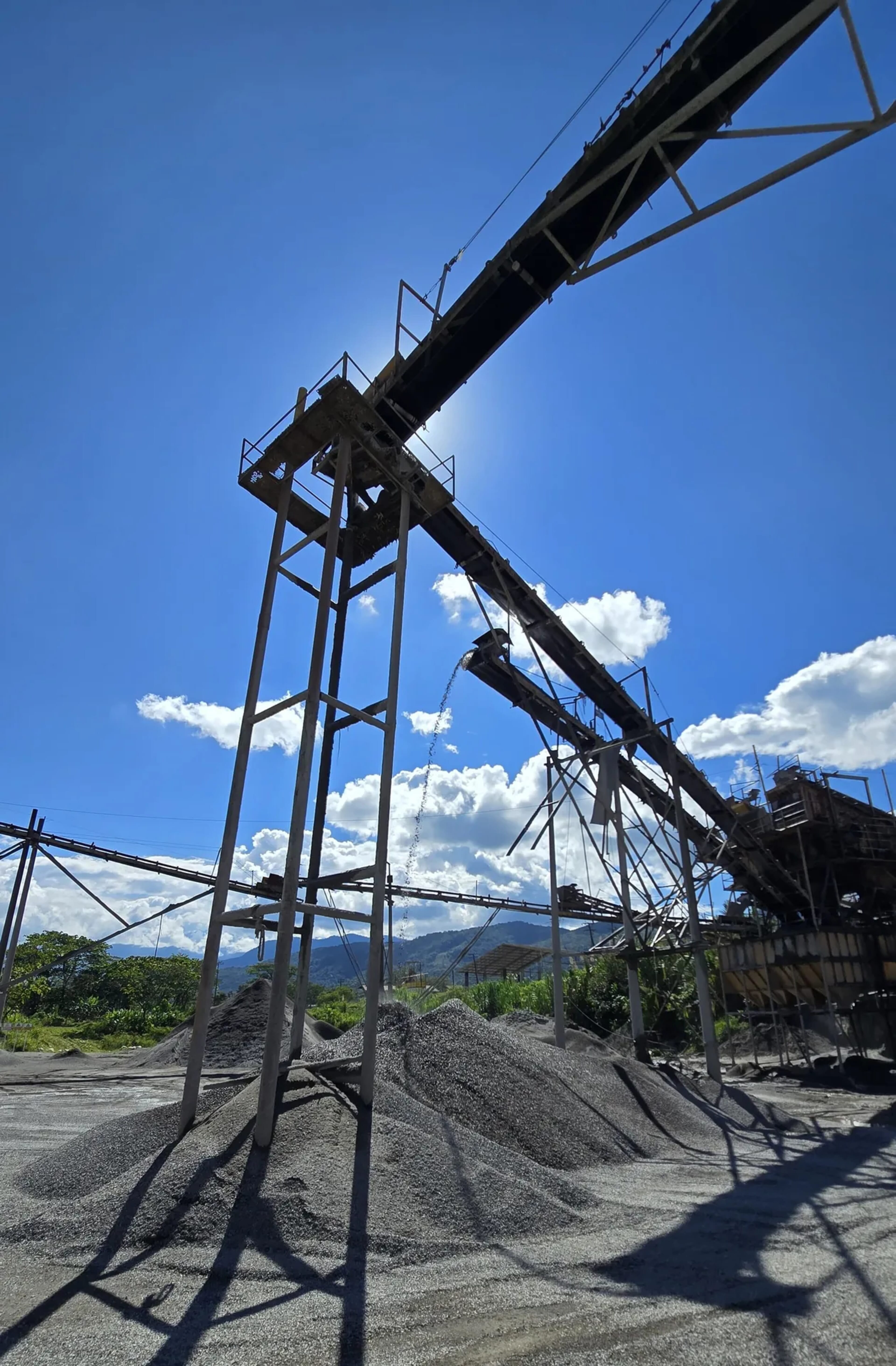 Planta Cuncía - vista 7